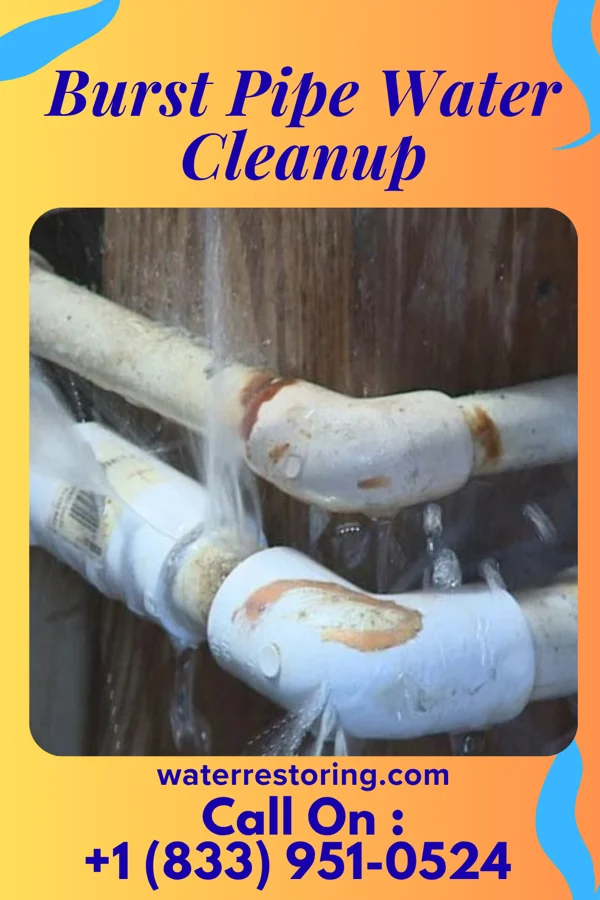 Burst Pipe Water Cleanup in Seven Lakes, NC