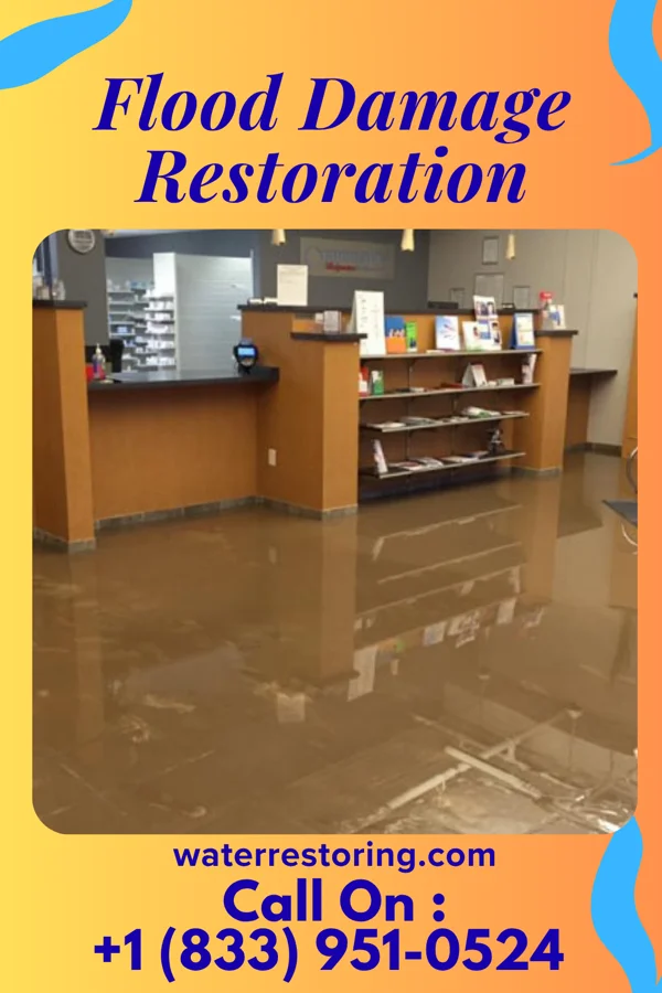 Flood Damage Restoration in Seven Lakes, NC