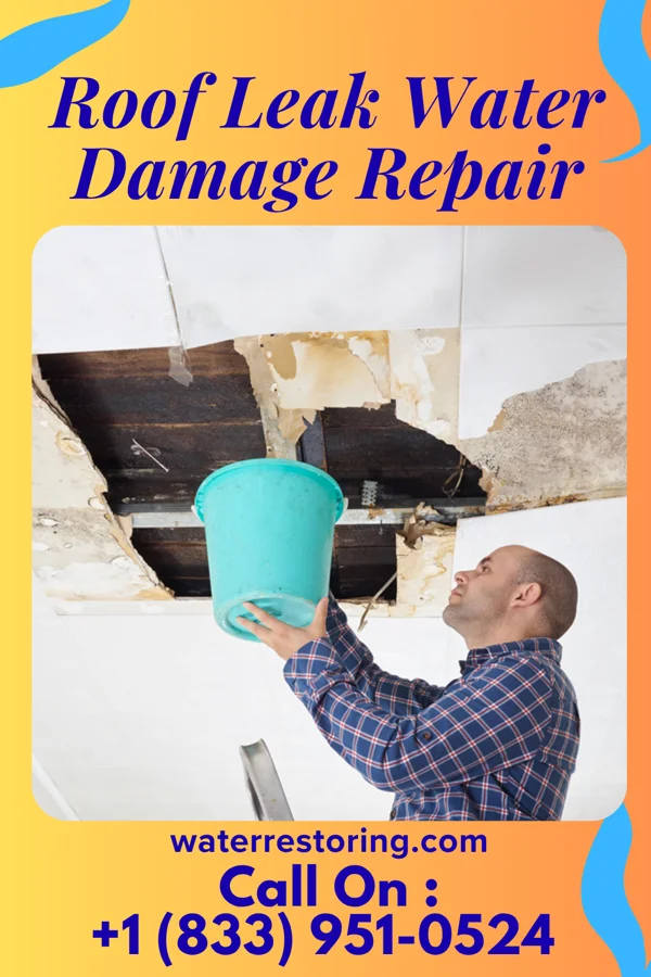 Roof Leak Water Damage Repair in Seven Lakes, NC