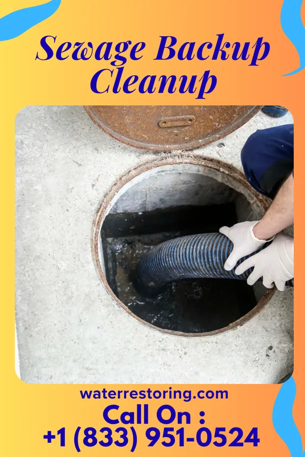 Sewage Backup Cleanup in Seven Lakes, NC