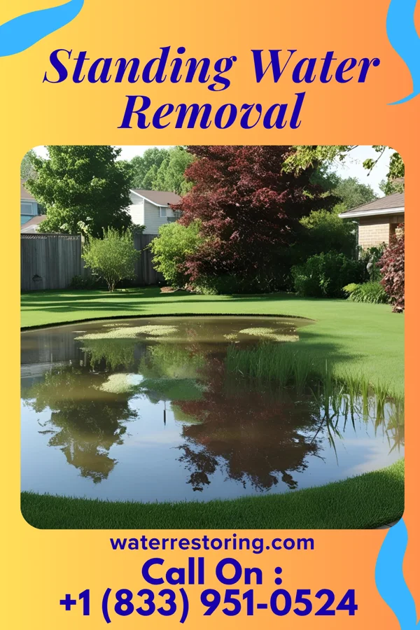 Standing Water Removal in Seven Lakes, NC